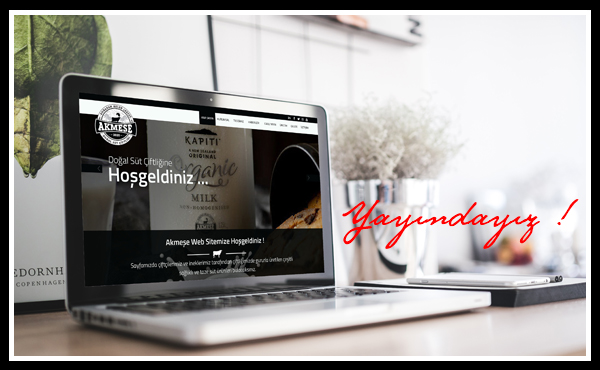 Web Sayfamız Yayında !