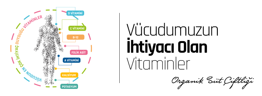 Vücudumuzun En Çok İhtiyaç Duyduğu Vitaminler !